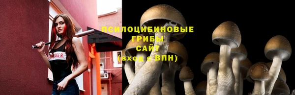СК Богородицк