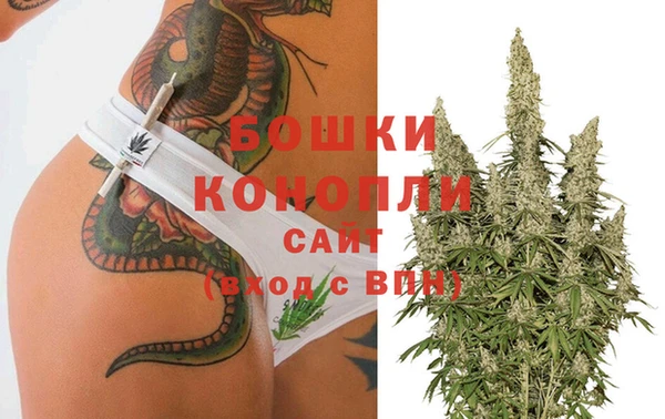 стаф Богородск