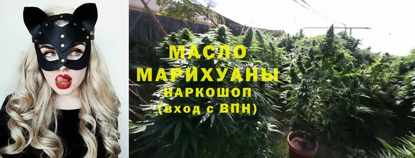 стаф Богородск