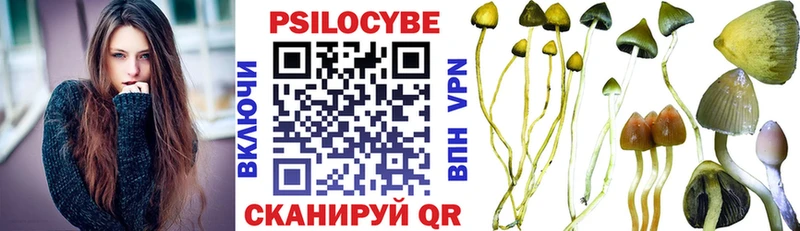 Псилоцибиновые грибы мухоморы  где купить наркоту  Волгореченск 